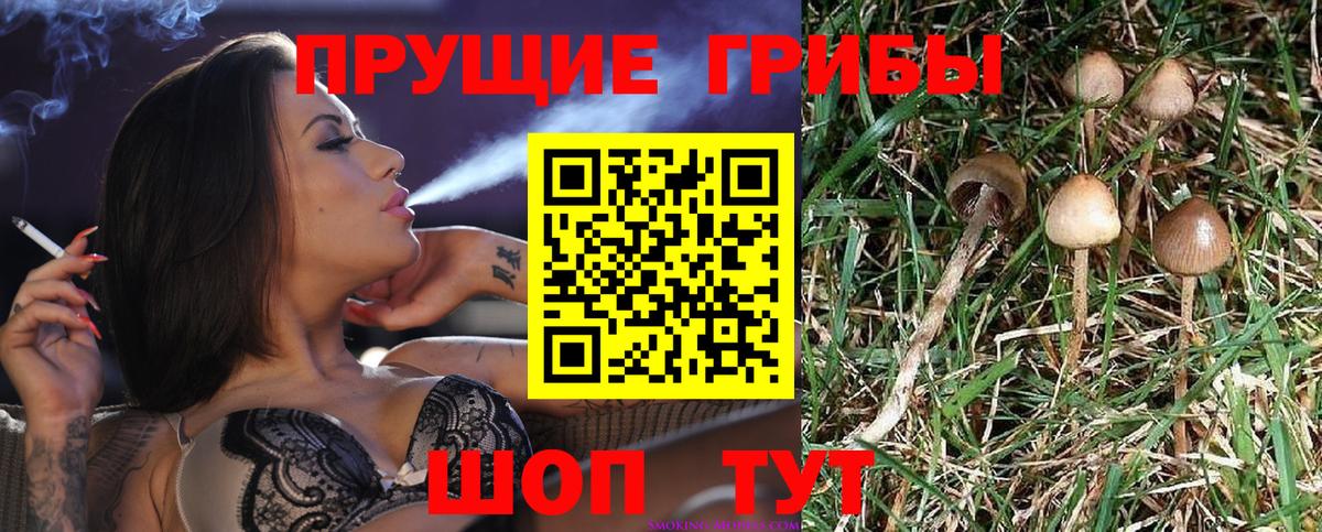 Псилоцибиновые грибы мухоморы Ейск