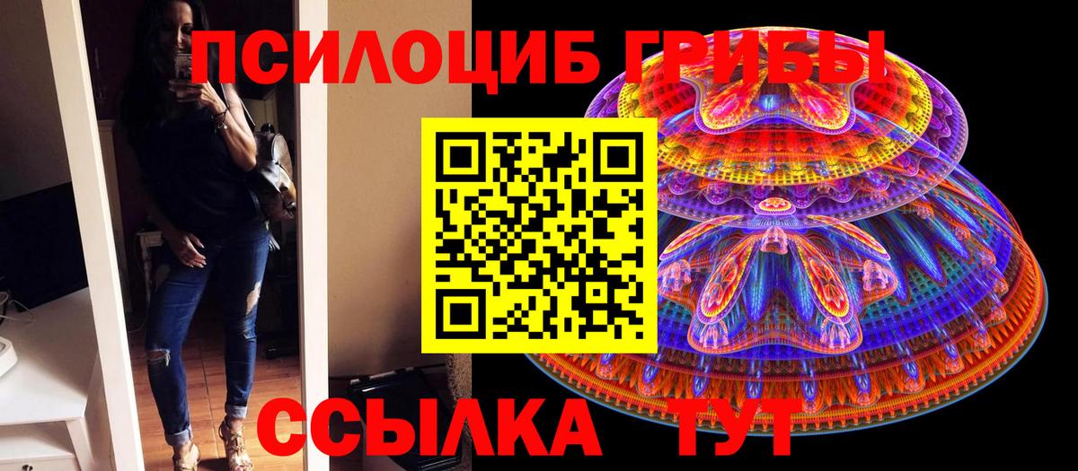 Ейск  Галлюциногенные грибы мицелий  Вход с VPN 