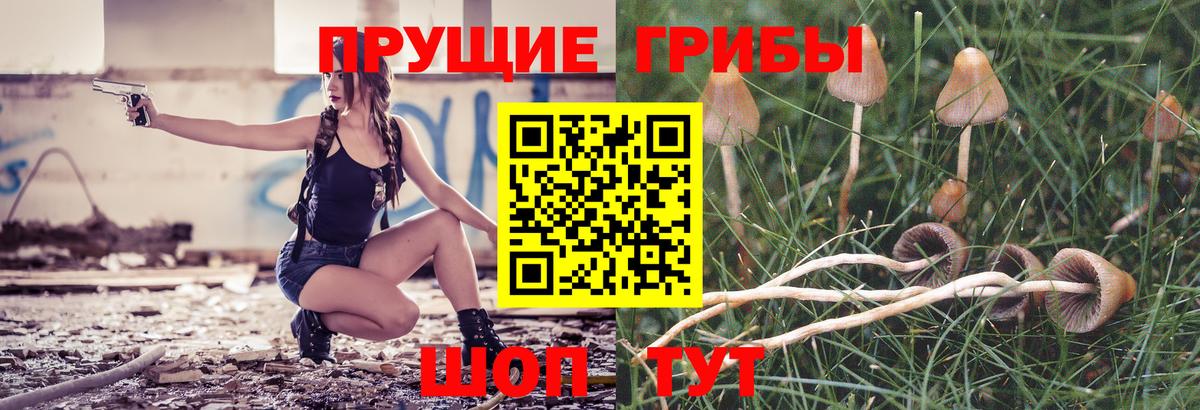  COCAIN Ейск
